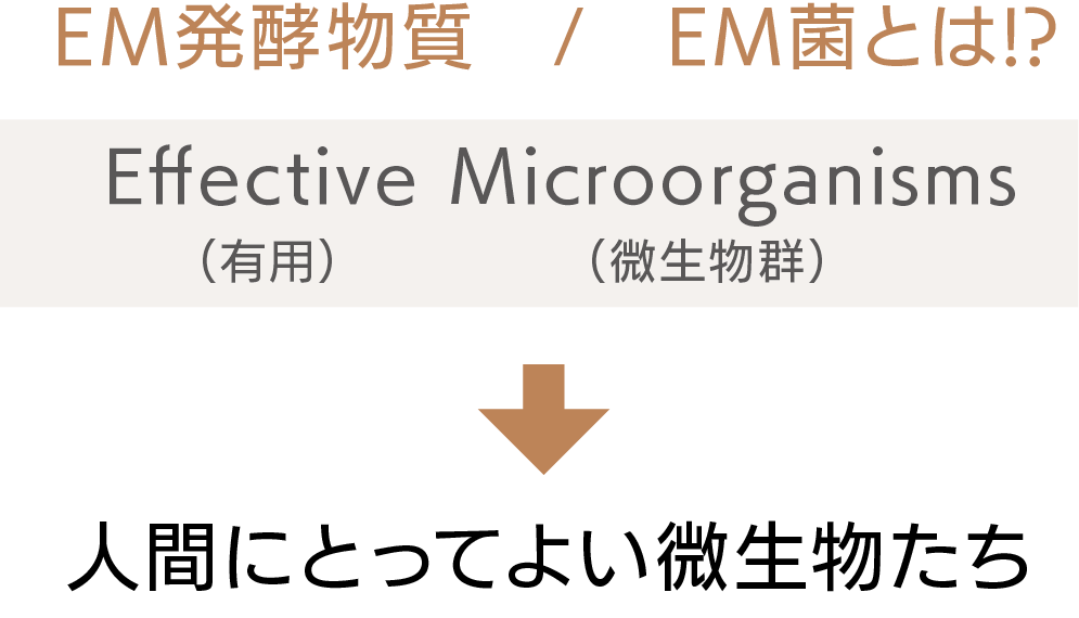 マザータッチの画像