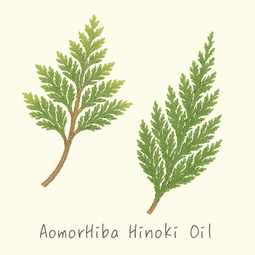 マザータッチ画像