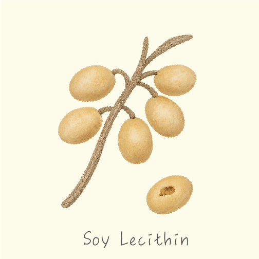 マザータッチ画像